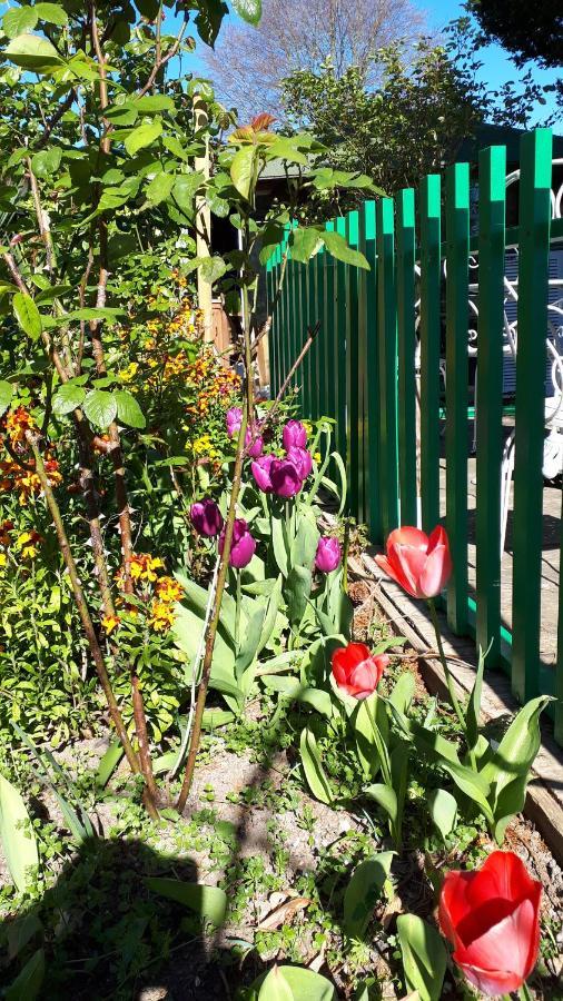 Saint-Pierre-d'Autils Le Jardin Des Merveilles מראה חיצוני תמונה